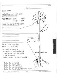 15 Images Of Plant Worksheets For 2nd Grade Science Worksheets 1st Grade Science First Grade Science