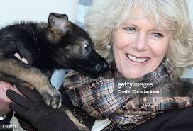 6.195 foto e immagini ad alta risoluzione di Chris Cane