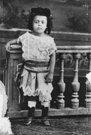 Image result for Afrosolen schimperi