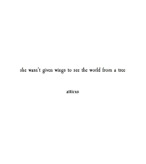 Atticus Words Quotes She Quotes Words
