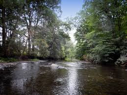 Mcmichael Creek Dhalo Section Among Waters Added To Keystone