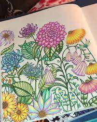 Find the best coloring pages for adults and enjoy coloring them. Pin On Ivy And The Inky Butterfly