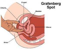 Best sex positions to hit g spot . XXX Sex Images. Comments: 3