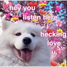 To that end, we've compiled 35 of the internet's most wholesome memes for your perusal. Wholesome Memes 2021