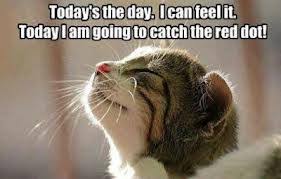 It's saturday and this means it's time for jokes. Lazy Saturday Quotes Top Quotesgram