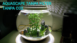 Pasalnya, hobby yang mengandalkan penataan tanaman dan landscape di aquarium ini memiliki daya tarik tersendiri bagi kebanyakan orang. Membuat Aquascape Tanpa Filter Dan Co2 Youtube