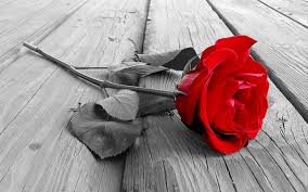 Adorable wallpapers > artistic > sad shero shayari wallpaper (43 wallpapers). Shayari Hd Wallpapers Free Download Wallpaperbetter