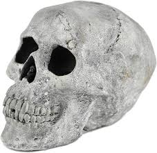 The skulls are steel reinforced, and fireproof! These Fireproof Skulls Are The Ultimate Halloween Decoration For Your Fire Pit The Keeper Of The Cheerios