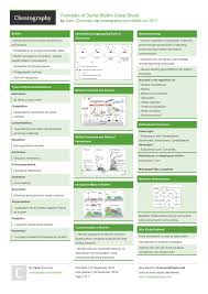 Formation Of Dental Biofilm Cheat Sheet By Carmilaa Http Www Cheatography Com Carmilaa Cheat Sheets Formation Of Dental Biofilm Biofilm Cheat Sheets Dental