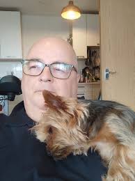 who loves 🐾Yorkshire 🐾 Credit  📷[@cody_bear_the_yorkie](https://www.instagram.com/cody_bear_the_yorkie/) 