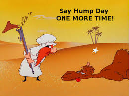 Guess What Day It Is Hump Day Humor Funny Memes Funny Cartoons