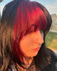 Arctic Fox Hair Color