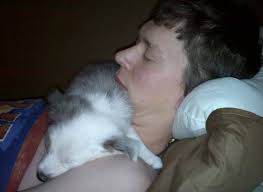 I had to show this drawing of my baby girl that passed over the rainbow  bridge a few mths ago. My very good friend daughter drawn it kacie palmero.  Thank you so