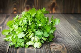Although coriander is a part of the cilantro plant, it has a very different flavor than the fresh leaves. Why Hating Cilantro And Other Flavors May Be Genetic