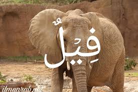 Check spelling or type a new query. 75 Kosakata Bahasa Arab Tentang Nama Nama Hewan Darat Ilmu Arab