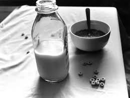 Black And White Objects Irving Penn Still Life Black And White Google Search Still Life Fruit Framing Photography Still Life
