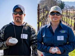 Napa County's 8 most skilled vineyard workers of 2020
