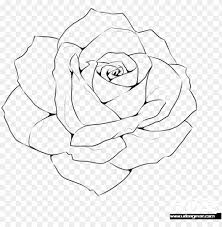 Jul 27, 2021 · here's is a growing and carefully picked collection of the latest, newest, and full free realistic logo mockup templates you shouldn't miss. Rose Line Drawing Template Realistic Rose Outline Drawi Png Image With Transparent Background Toppng