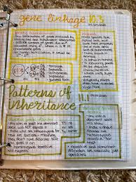 Gene Linkage And Patterns Of Inheritance Notes In 2020 Biology Notes Science Notes Middle School Science