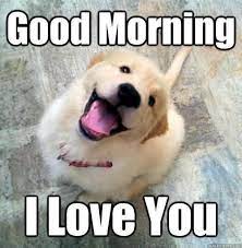 Good Morning I Love You Love Meme Smiling Animals Cute Dogs Cute Animals