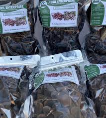 Image result for Dialium guineense