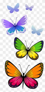 Download Cartoon Clipart Half Butterfly Cartoon Png Download 5483 Pinclipart