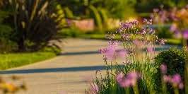 Your Life, Your Legacy: Advance Planning Seminar