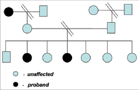 Family Pedigree Chart Showing The Affected Individuals In