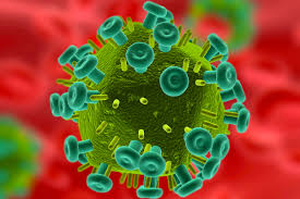 The seven coronaviruses that can infect people are: Virussen Niet Per Se Nadelig Op Lange Termijn Ewmagazine Nl