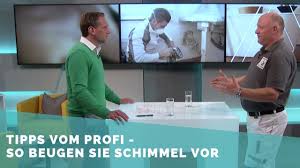 Grundsätzlich gehst du aber immer zunächst die ursachen in deinem haus oder der wohnung an, um schimmelpilzen keine chance zu bieten. Schimmel Im Haus Vermeiden Und Entfernen Tipps Vom Experten Das Hilft Gegen Schimmel Youtube