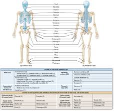 Pin On Medical