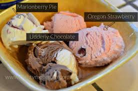 Homemade ice cream 4 ways homemade ice cream 4 ways editorial director, buzzfeed deutschland ingredients for 8 servings 1 cup (125 g) flour ½ cup (110 g) butter ½ cup (110 g) brown sugar ¼ cup (60 ml) milk 1 teaspoon vanilla extract 1 cup (. Tillamook Ice Cream Review