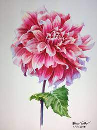Painting Demonstration On Last Sunday Dahlia Flower By Ti Watercolor Flower Drawing Watercolor Flowers Flower Painting