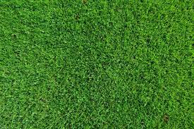 Top View Of Green Grass Perspective Grass Textures Installing Artificial Turf Artificial Grass