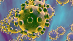 27 de diciembre de 2020 12:00 am. Coronavirus I La Variante Del Virus Que Sacude A Europa Surgio En Espana As Com