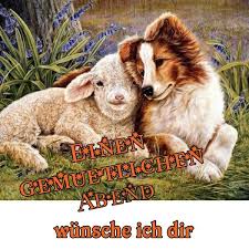 Einen Gemutlichen Abend Wunsche Ich Dir Gute Nacht Grusse Gute Nacht Schonen Abend Grusse
