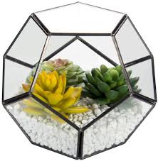 Maybe you would like to learn more about one of these? Buy Glass Geometric Terrarium Container Zoutog 6 7 Inch Air Plant Holder Window Sill Decor Shelves Succulent Plant Cacti Fern Flower Pot Container Geometric Decor For Air Plant Football Shape Online In Indonesia