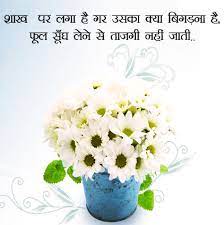 He just needs to pour his true love feelings in a simple language to impress her. Flowers Dp Images For Whatsapp Status In Hindi English With Quotes Msg