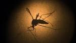  Millions could avoid dengue fever if world limits warming