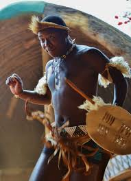 Image result for Zulustylis