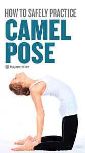 Pin On Yogiapproved Com