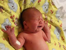 FOTO/ANKETA: Právě jsme se narodili