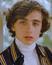 24 Timothée Chalamet ideas