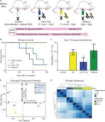 What marketing strategies does mara use? Frontiers Differential Modulation Of Mouse Heart Gene Expression By Infection With Two Trypanosoma Cruzi Strains A Transcriptome Analysis Genetics