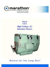 Voltage is the potential difference between two points in an electric field which causes current to flow in the circuit. Unipak 2 Caca Cacw High Voltage A C Induction Unipak 2 Caca Cacw High Voltage A C Induction Pdf Pdf4pro