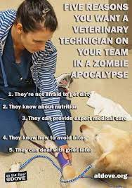 Vet Tech During Zombie Apocalypse Vettech Vettechhumor Vetnurse Zombieapocalypse Vet Tech Humor Vet Tech Quotes Vet Technician