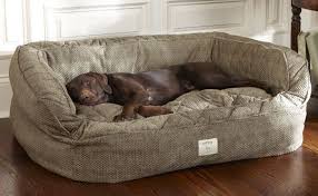 Dog Bed With Bolster Free Standard Us Shipping Orvis Lounger Deep Dish Dog Bed Medium Dogs Up To 60 Lbs Dog Couch Dog Bed Large Dog Bed