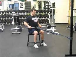 Keep your back straight and chest up and hold the dumbbells straight (elbows slightly bend). Seated Barbell Resistance Band Row Exercise Com