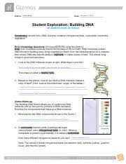 They use the dna strands. Kami Export Suhitha Reddy Buildingdnasepd2 1 Pdf Suhitha Reddy Name Date Student Exploration Building Dna All Answers Must Be In Blue Vocabulary Course Hero