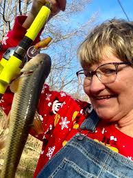 Help identifying fish species caught in Flat Creek, MO